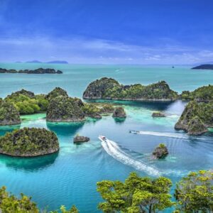 Raja Ampat Tour: The Crown Jewel of Indonesia’s Marine Paradise